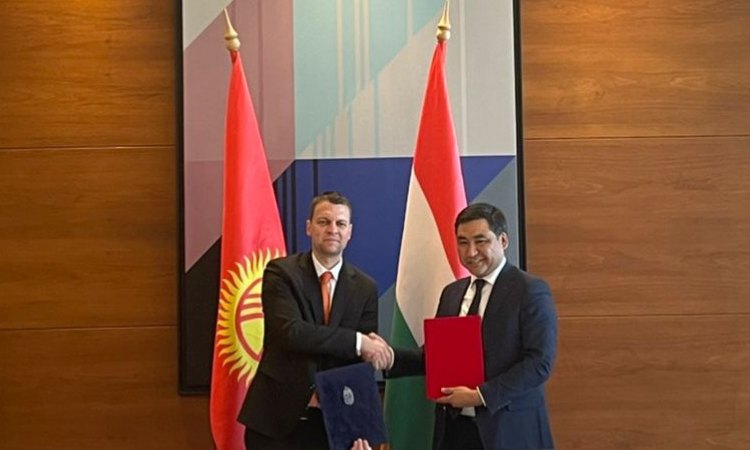 В КР создадут совместные кыргызско-венгерские предприятия