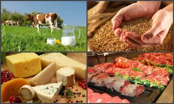 Кыргызстанскую сельхозпродукцию планируют освободить от НДС