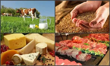 Кыргызстандык айыл чарба өндүрүүчүлөрүн кошумча нарк салыгынан бошотуу пландалууда