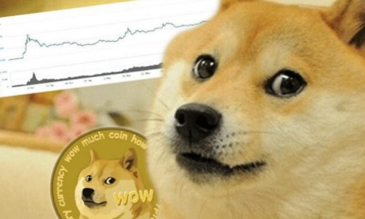 «Мемный» токен Shiba Inu по капитализации обошел Bitcoin Cash