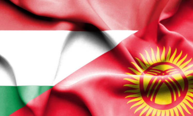 Уставной капитал Венгерско-Кыргызского фонда составляет 16 миллионов долларов