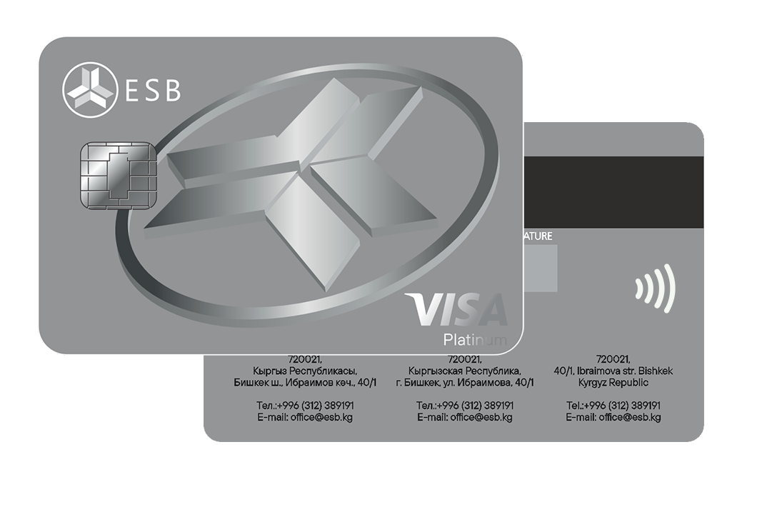 Visa Platinum