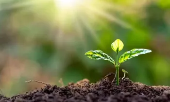 «Банк Компаньон» проведет серию агротренингов для семей мигрантов - график на 2026 год