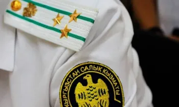 Малый, средний и крупный бизнес: какие сроки сдачи отчетности установлены