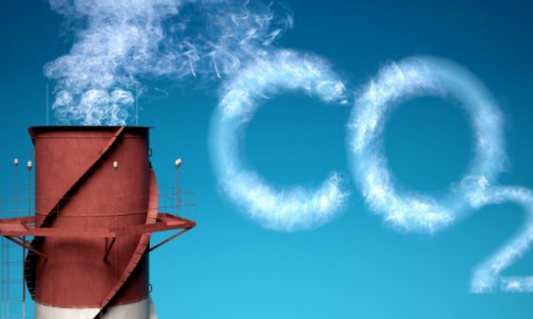 На бизнес-форуме оценили риск введения «углеродного» налога