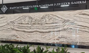 Новые правила для платежных терминалов: что изменится для пользователей при внесении наличных?