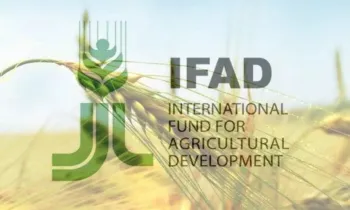 Борьба с бедностью в селах: IFAD предоставит Кыргызстану 21 млн долларов под 0% годовых