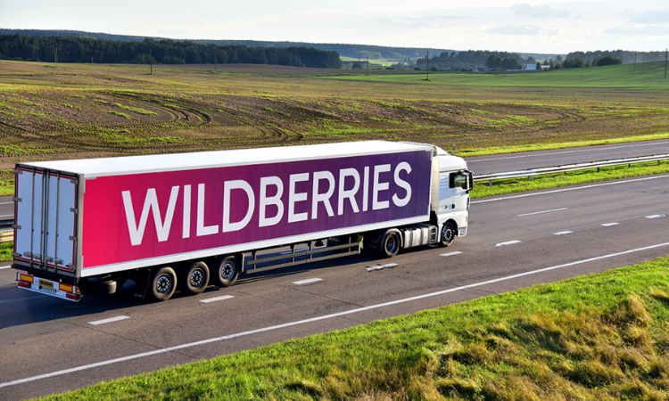 Зарабатывай с Wildberries! Новая история онлайн-бизнеса
