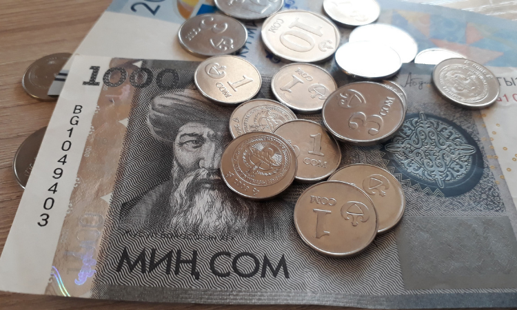 К услугам микрокредиток прибегают 4% кыргызстанцев
