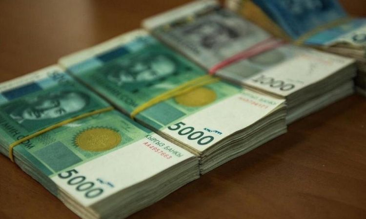 Банки получили почти 2,5 млрд сомов для льготного кредитования