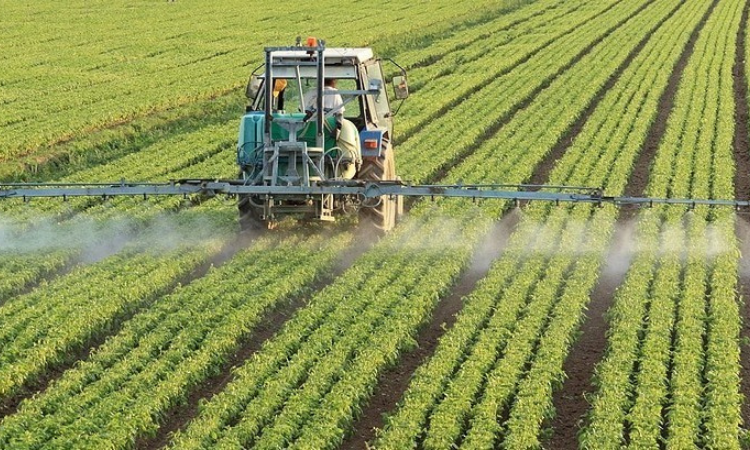 Сельхозпроизводителям выделят более 5 млрд сомов льготных финсредств