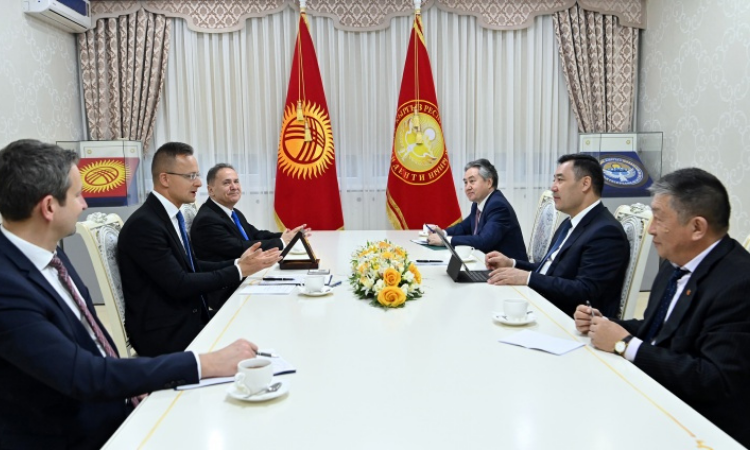 Инвестпроекты Венгеро-Кыргызского фонда развития реализуют в КР