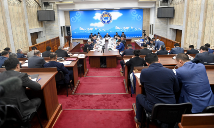 Профильный комитет ЖК одобрил поправки в закон «О гарантийных фондах в КР»