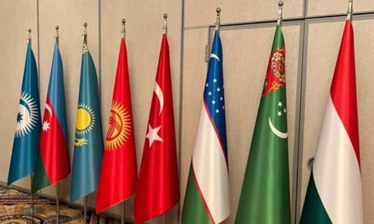 Ожидается создание инвестфонда Организации тюркских государств