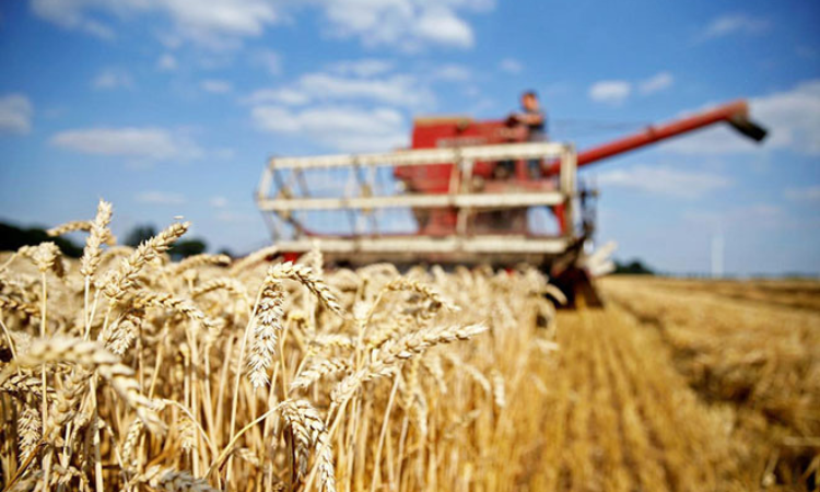 По проекту «ФСХ-10» кредиты получили 7 795 сельхозпроизводителей