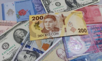 Из чего делают деньги в Кыргызстане и других странах мира?