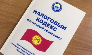 Налогоплательщиков Кыргызстана будут делить на категории, используя модули