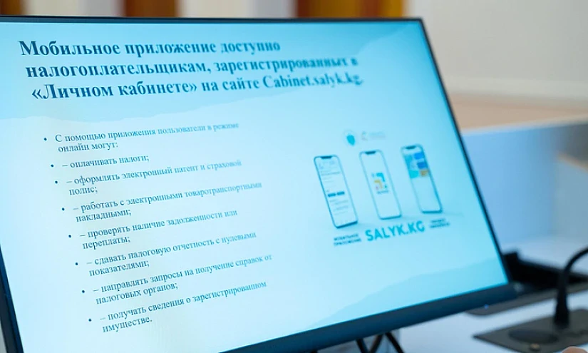 В Кыргызстане онлайн налоговыми услугами пользуются 1,1 млн человек