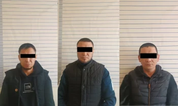 ОВД Балыкчи выявило группу кибермошенников в учреждении строгого режима
