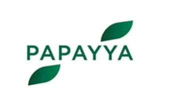 Оператор российских карт «Мир» начал регистрацию бренда «Papayya»