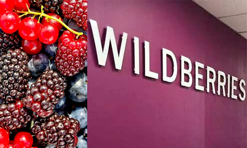 Новости Wildberries: Ягодные оттенки, щедрый «Дима» и единение брендов