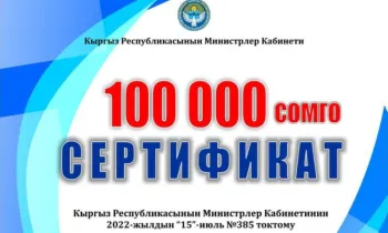 Почти 8 600 семей подали заявки на получение 100 000 сомов в рамках соцконтракта