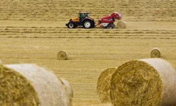 Семейные пары из КР смогут трудоустроиться в фермерские хозяйства Италии