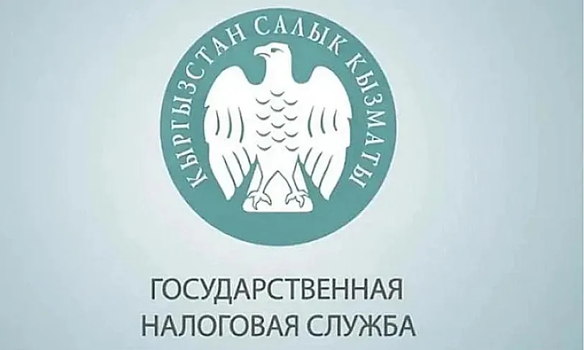 За полгода ГНС собрала более 138 млрд сомов налогов и страховых взносов